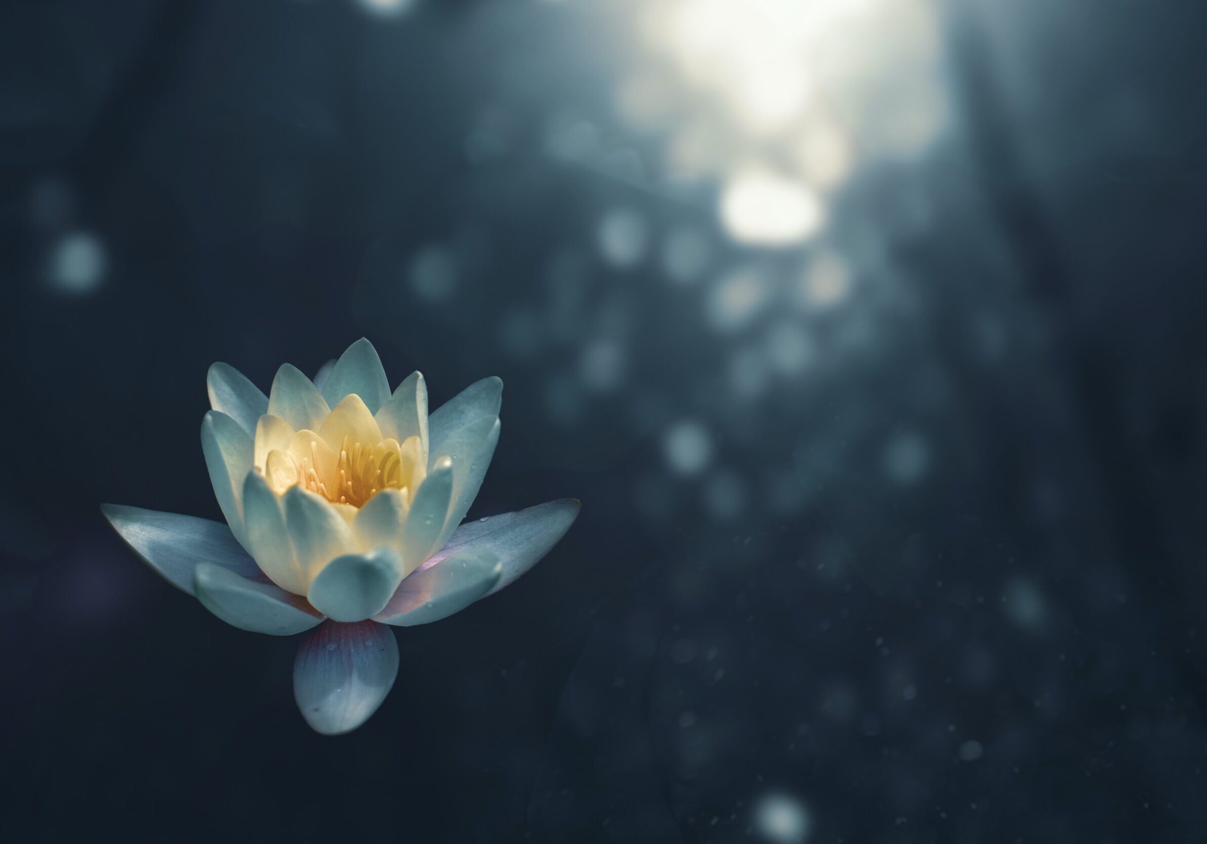 5-Minute-Breath-Awareness-Meditation-scaled-landscape-b45c721ecbbbcbaffd009009a90d8a71-kq542wclypb0