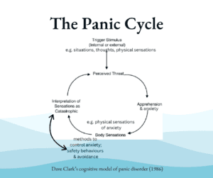 Panic cycle diagram showing how bodily sensations, catastrophic interpretations and the threat response interact to increase panic.
